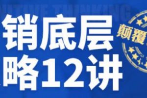 营销底层策略12讲视频讲座